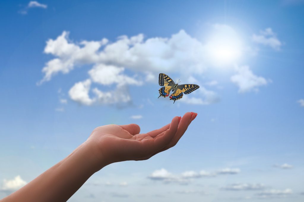 Kontakt mig, hvis du ønsker at lære om hvordan du kan indføre mindfulness og meditation i dit liv.