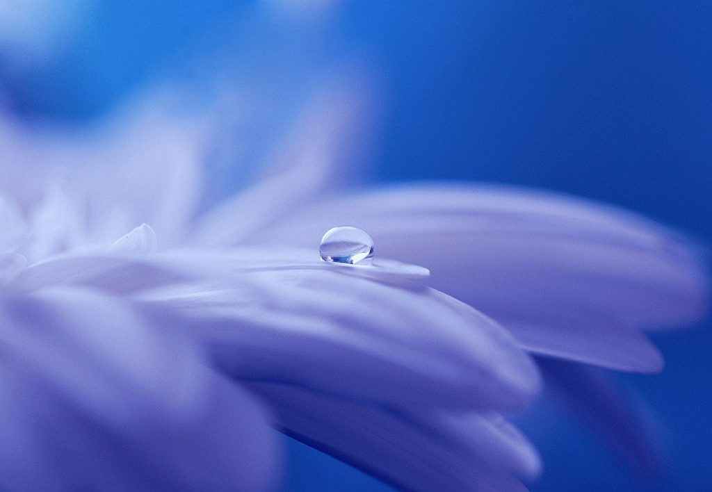 Mindfulness forløb mod stress.