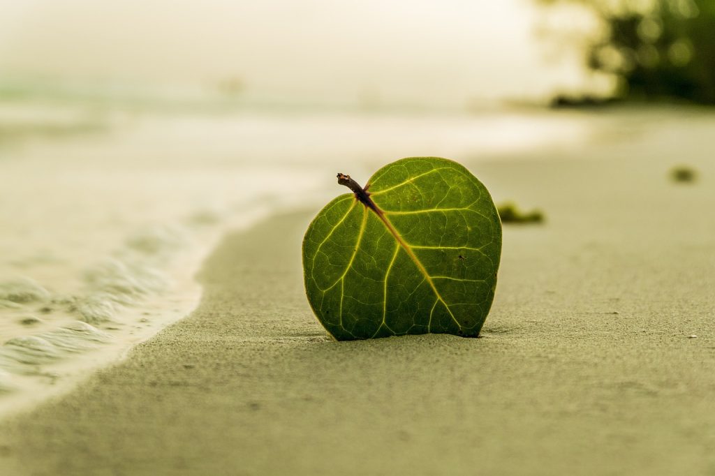 Mindfulness bringer dig ro og nærvær.