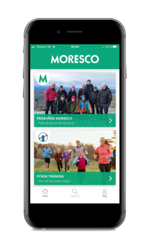 Proaktify Moresco Edition