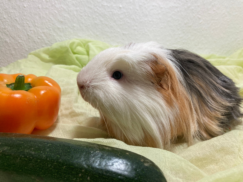 Odin