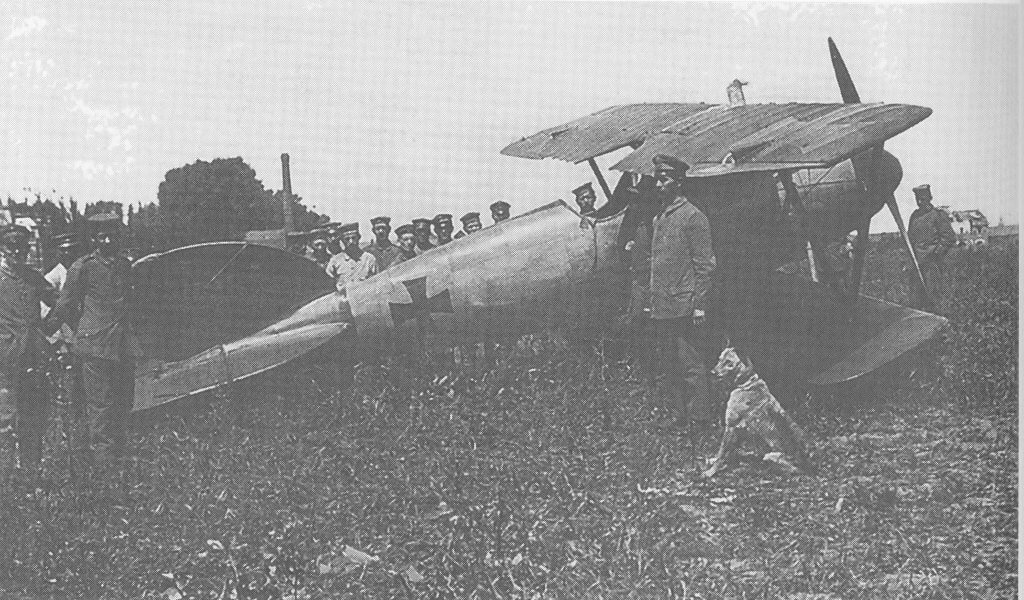 The Red Baron, a photographic album of the first world war's greatest ace, Manfred von Richthofen, Terry C Treadwell, Pen and Sword Books, 2021