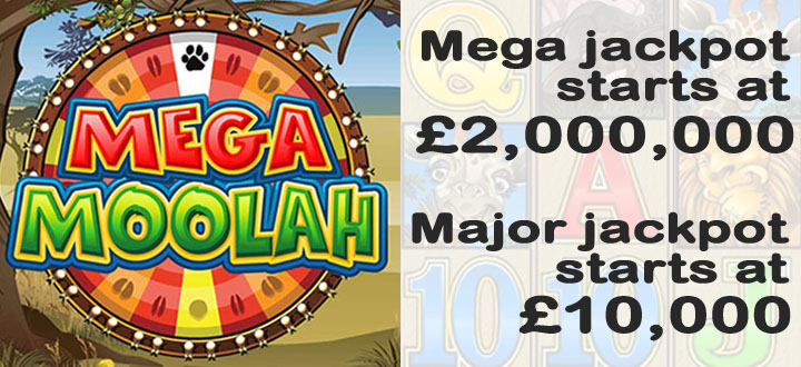 Spin the Wheel to Win the Mega Moolah Jackpot