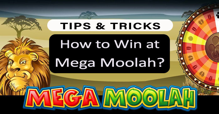 Tricks and Tips to Win the Mega Moolah Jackpot