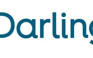 revisión edarling