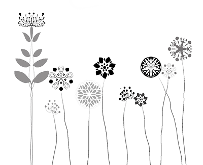 mQ Bodensee - Persönlichkeitsentwicklung Blumen