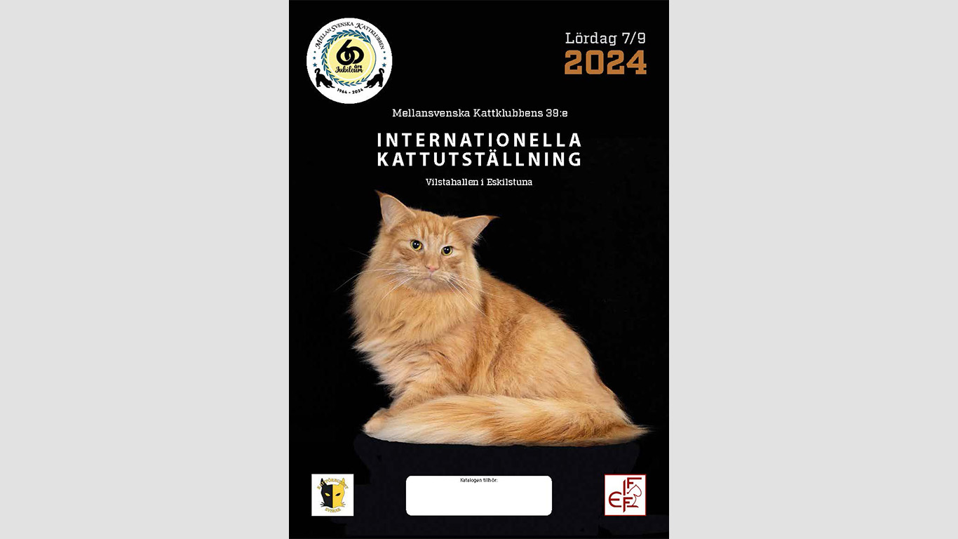 Lördagens katalog finns att ladda ner i PDF-format