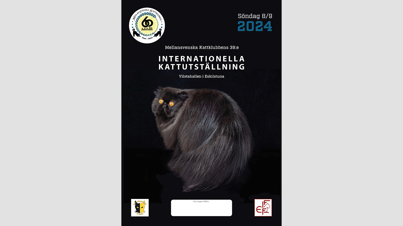 Söndagens katalog finns nu att ladda ner i PDF-format