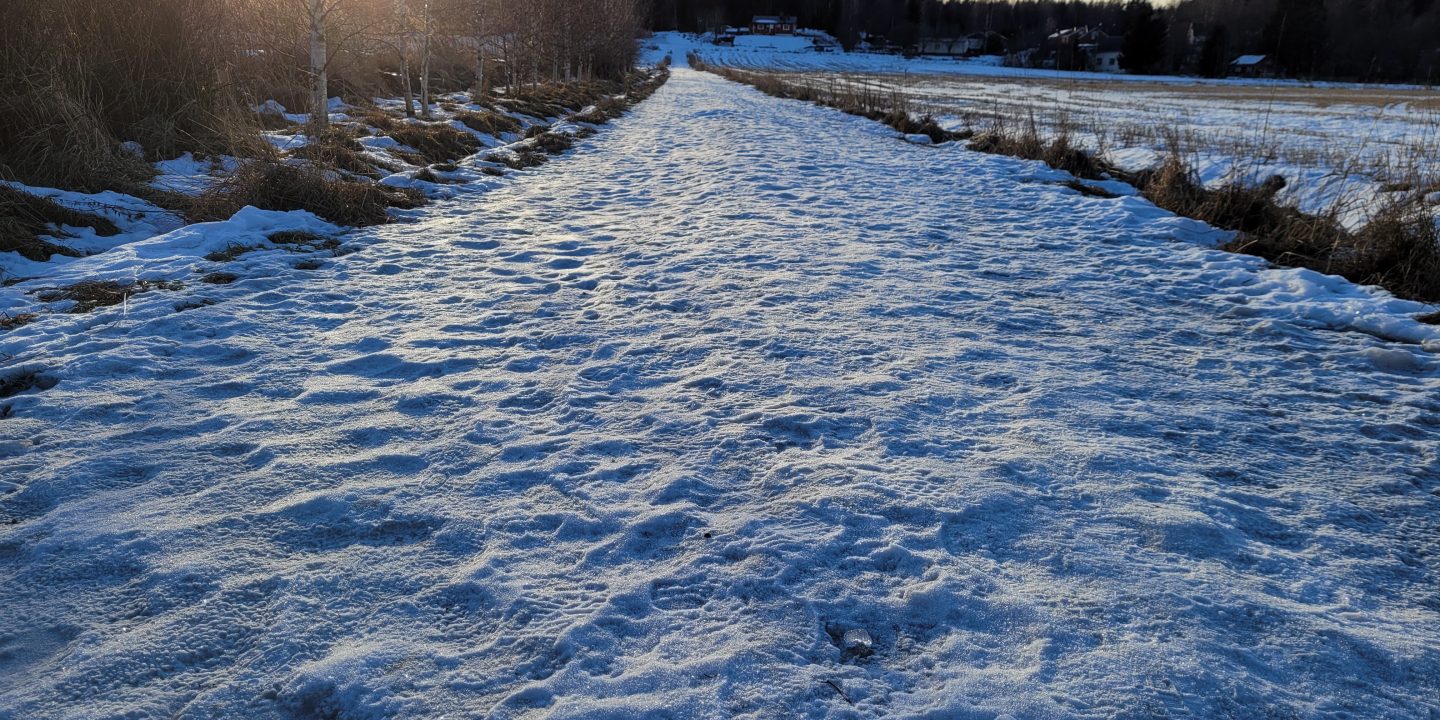 Winter landscape with a road