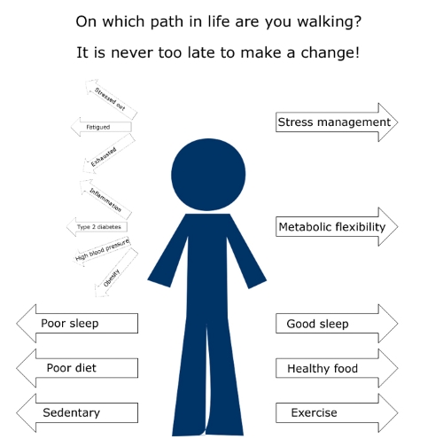 On which path in life are you walking