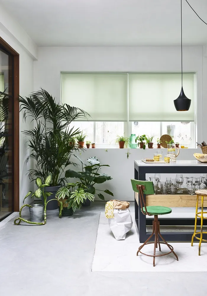Moderne lyst køkken, med grønne planter og lyse grønne rullegardiner for vinduerne