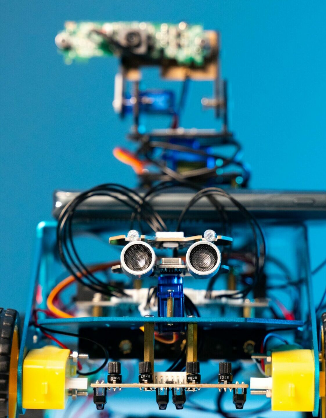 Carina, a DIY robot