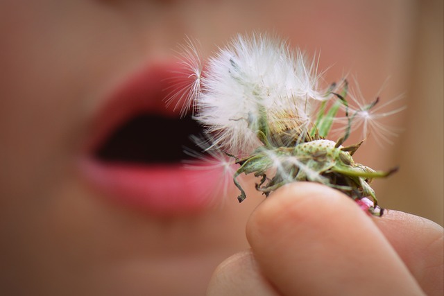 Comment prévenir les allergies du printemps ?