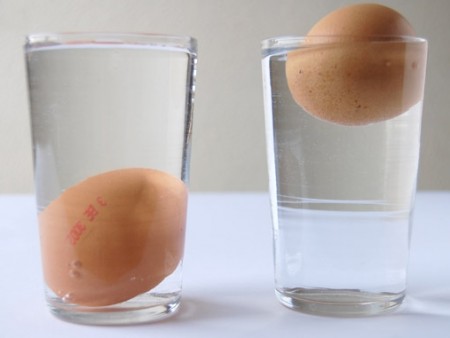 Que signifie un œuf qui remonte à la surface de l’eau ?