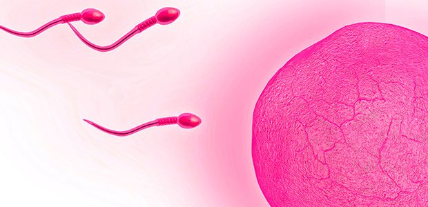 4 Choses que vous ne savez pas sur le sperme