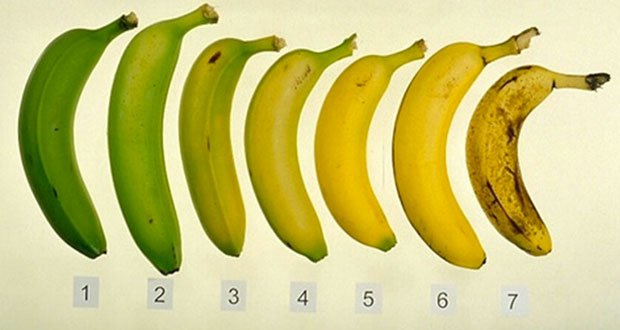 Ce qui arrive à votre corps lorsque vous mangez des bananes mûres