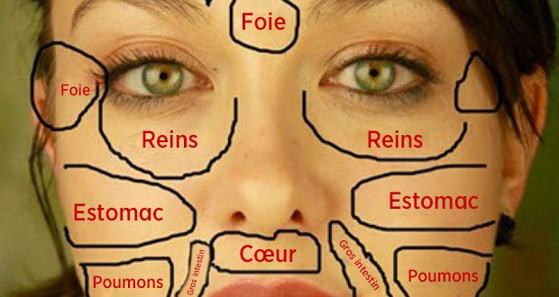 Carte du visage chinoise : quand les problèmes de peau révèlent l’état des organes vitaux du corps