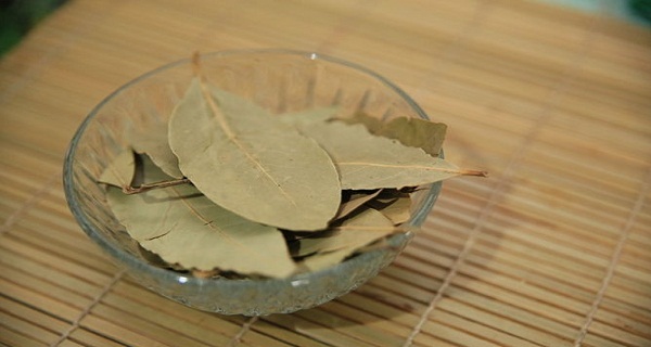 Brûler les feuilles de laurier à la maison ! les effets Incroyables