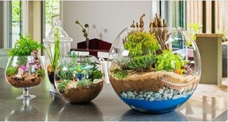 Comment monter un terrarium! Les étapes et des modèles pour vous inspirer!