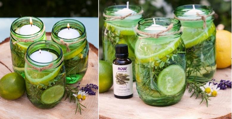 Chassez les moustiques avec du citron et des herbes fraîches, tout en décorant la table!