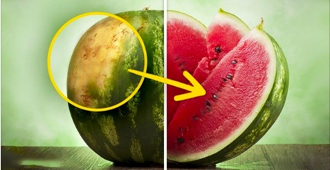 Un fermier dévoile les 5 choses à regarder pour choisir un melon d’eau parfait à tous les coups!