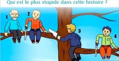 4 hommes se ridiculisent sur un arbre. Qui est le plus bête d’après vous ?