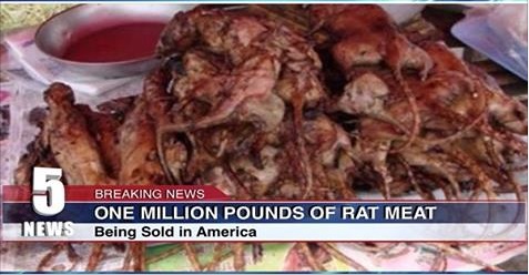 Affreux : Des millions Kg de viande de Rat vendue comme Ailes de poulet désossées aux États-Unis, France et Canada