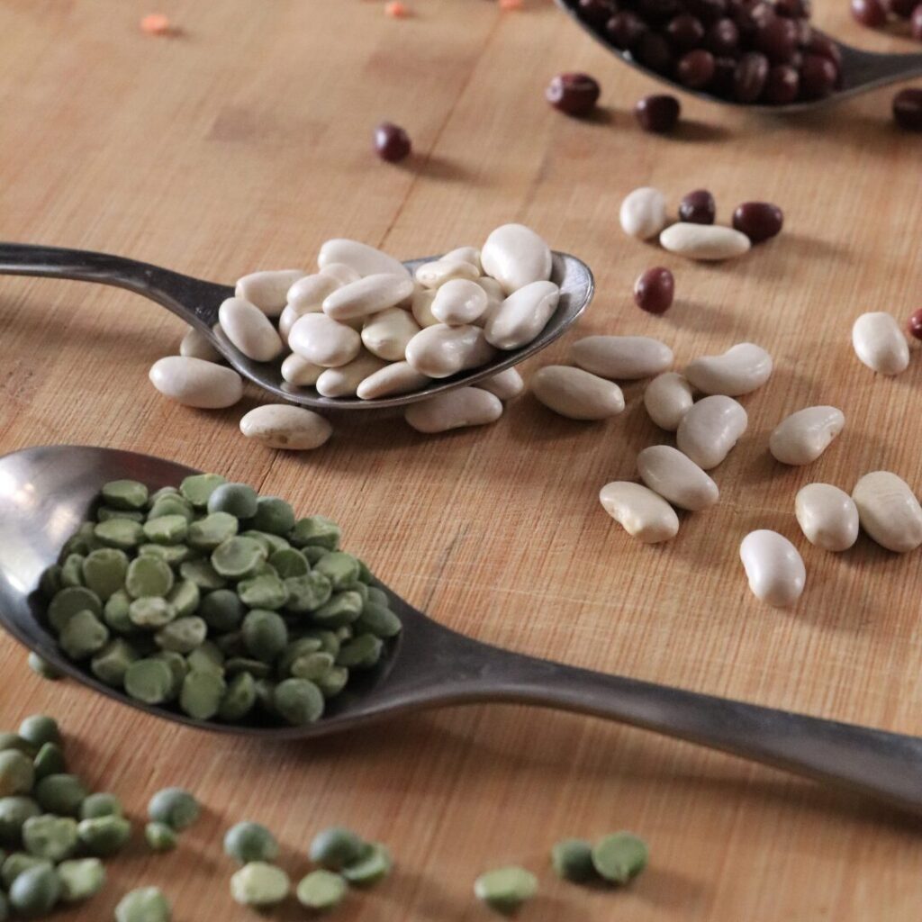Les Légumineuses : Trésors de Nutrition au Cookeo ! Les Légumineuses : Trésors de Nutrition au Cookeo !