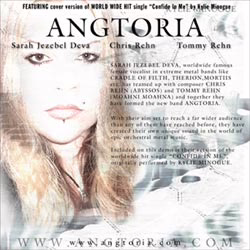 angtoria-demo.jpg