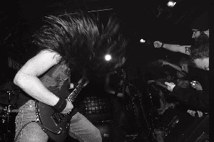 demiricous-live.jpg