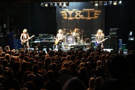Y&T
