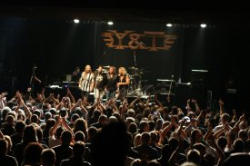 Y&T