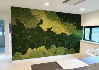 prachtig landschap van een mossenmix op wand bij nieuw kantoor in almere gemaakt door meteiz