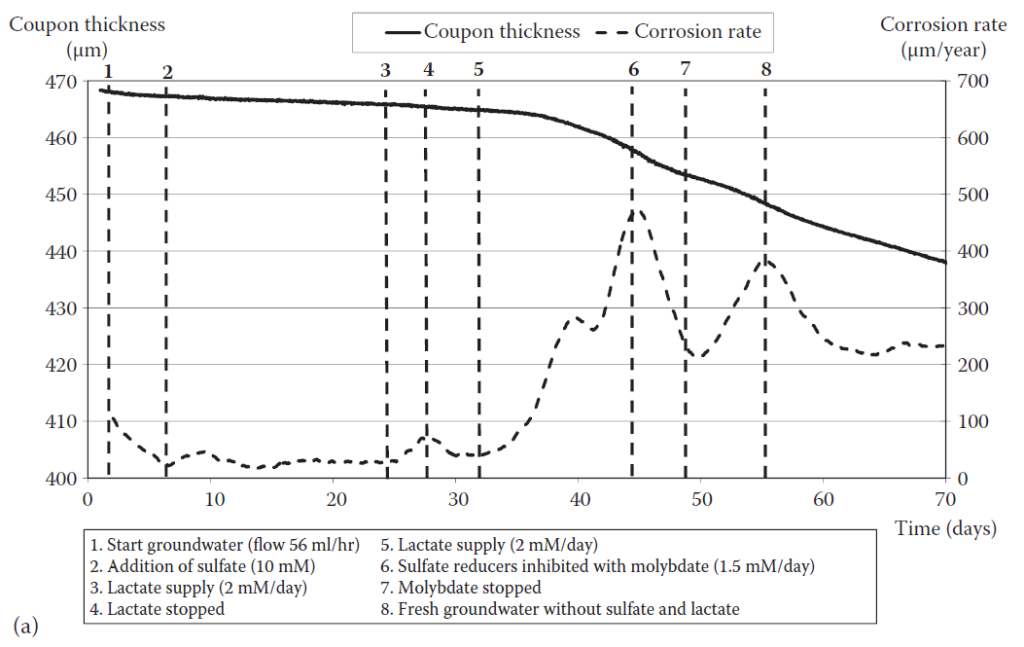 MetriCorr | Corrosion | Graph