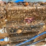 MetriCorr | Corrosion | Cathodic Protection | Marine Fouling | Research