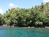 Lembeh Strait