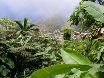 Mount Scenery