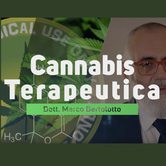 Cannabis Terapeutica
