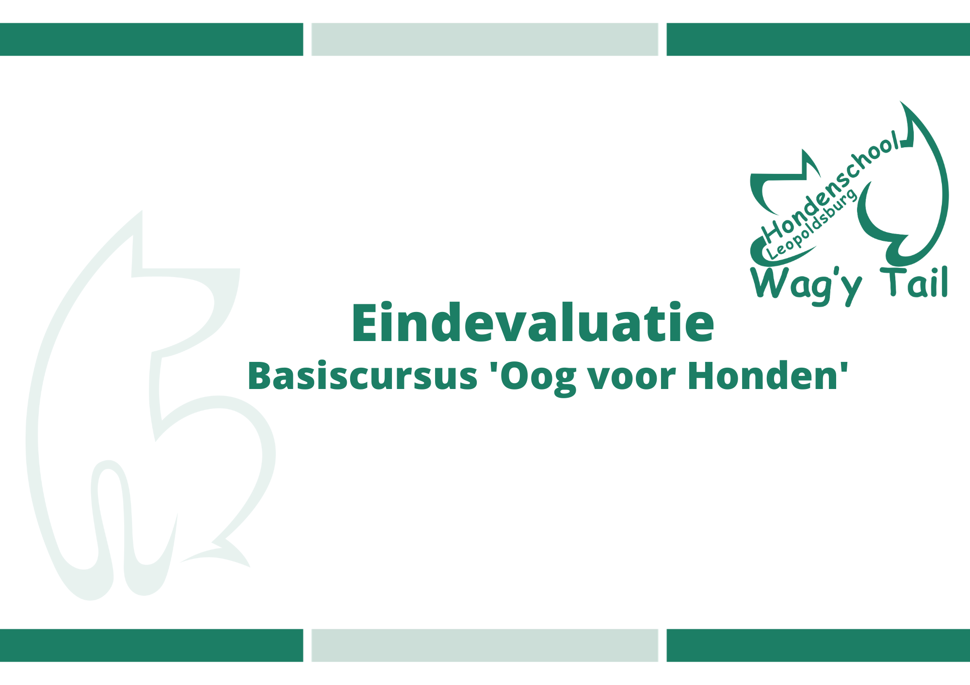 Basiscursus ‘Oog voor Honden’ – Online – Eindevaluatie