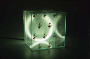 light glass box with decoration