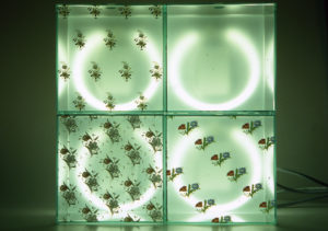 light glass boxes with decoration
