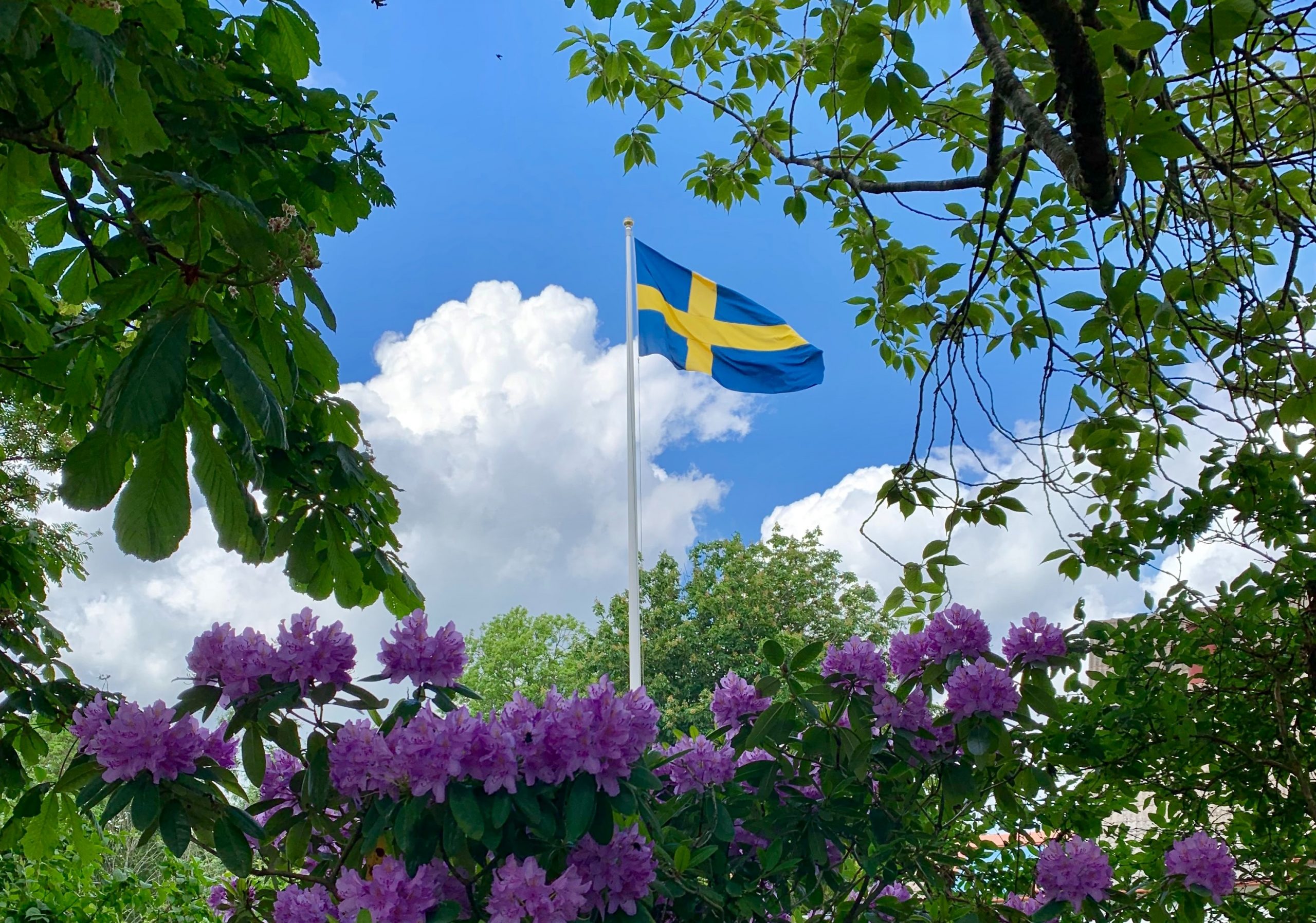 Det svenske flagget