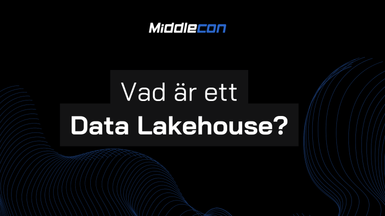 Data Lakehouse