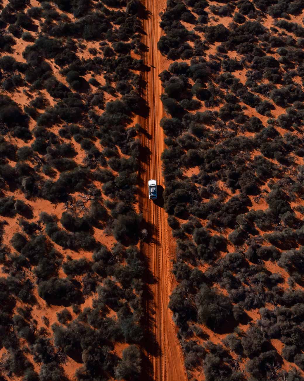 Francois Peron Nationaal Park in West Australië