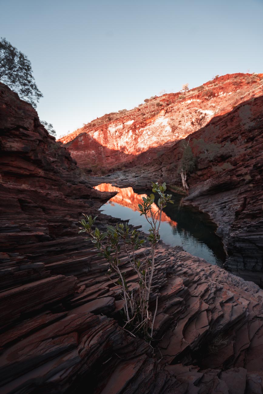 Karijini NP - Hamersley Gorge West Australië