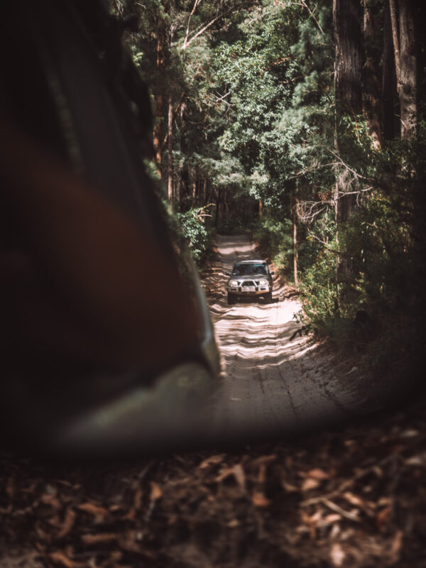 road to Lake Mckenzie - 4WD on Fraser Island: The perfect adventure in 3 days