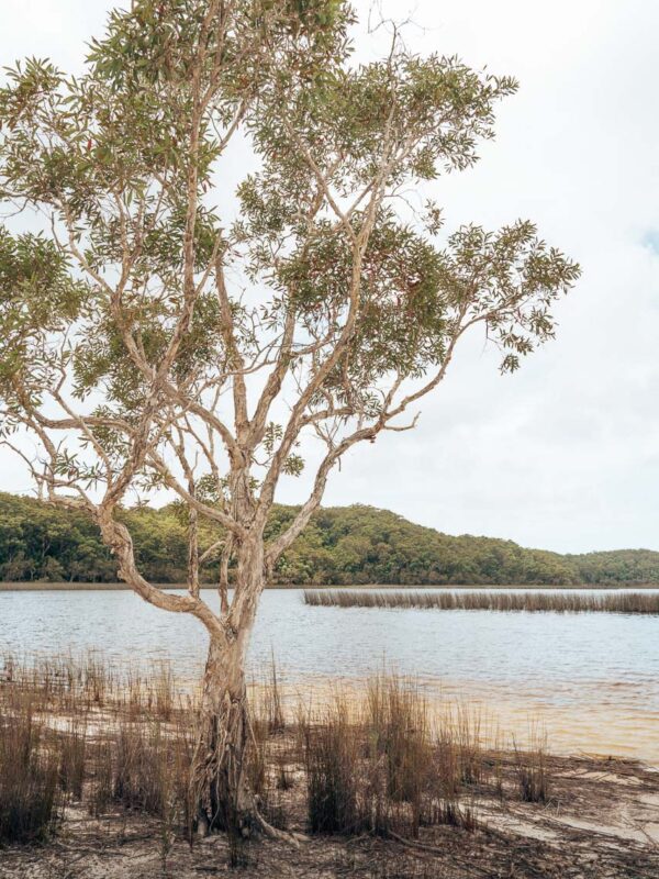 Lake Garawongera