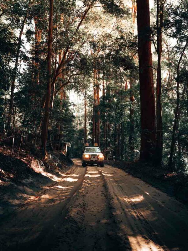 4WD on Fraser Island: The perfect adventure in 3 days