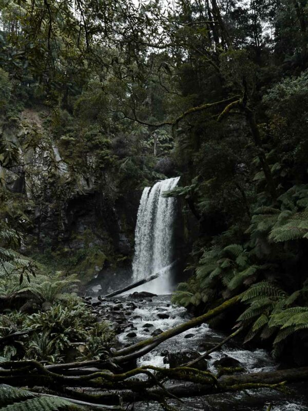 Great Otway NP- Hopetoun Falls30- BLOGPOST