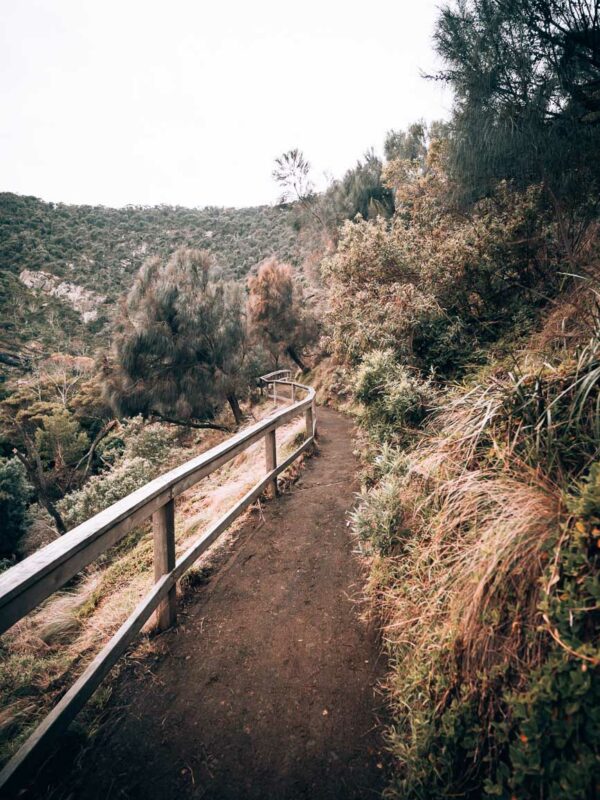 Carisbrook Falls - BLOGPOST